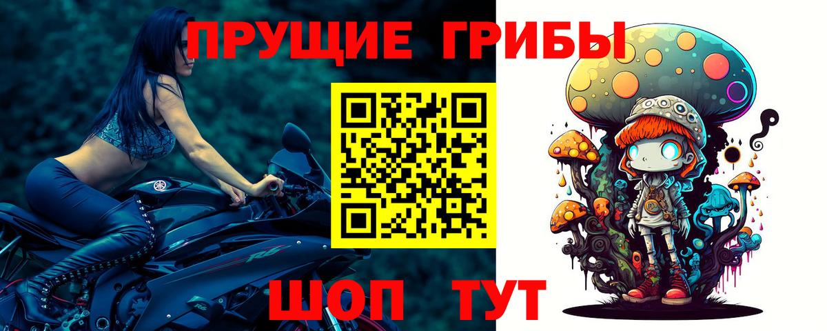 Псилоцибиновые грибы мицелий Корсаков